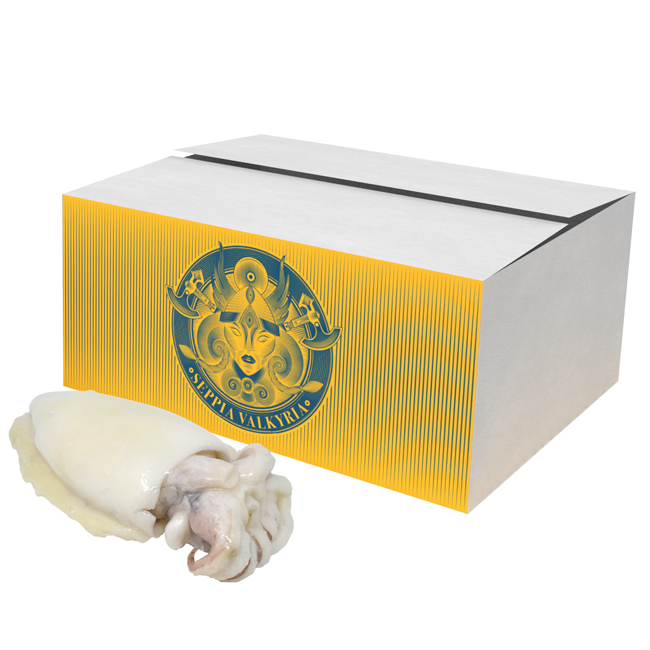 packaging seppia Valkyria gruppo DAC